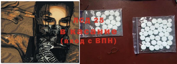 стаф Тутаев
