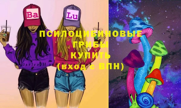 ПСИЛОЦИБИНОВЫЕ ГРИБЫ Бугульма