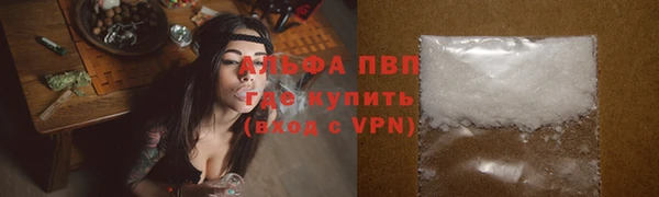 стаф Тутаев