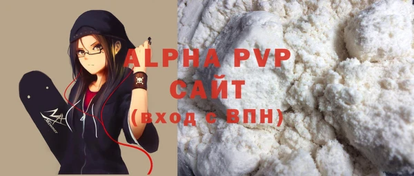 стаф Тутаев